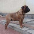 DSCN7004