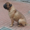 DSCN7013