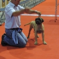 dscn0844